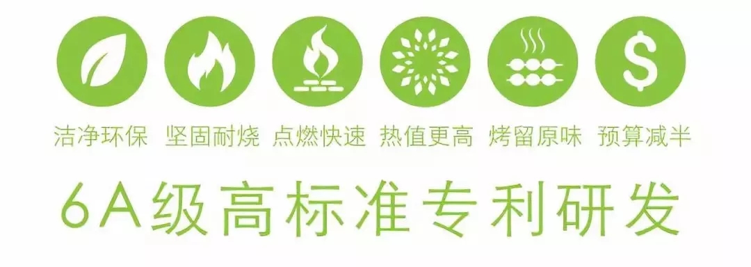 2019年太原能源低碳发展论坛 | 鼎森·雪碳紧随国家发展脚步(图4)